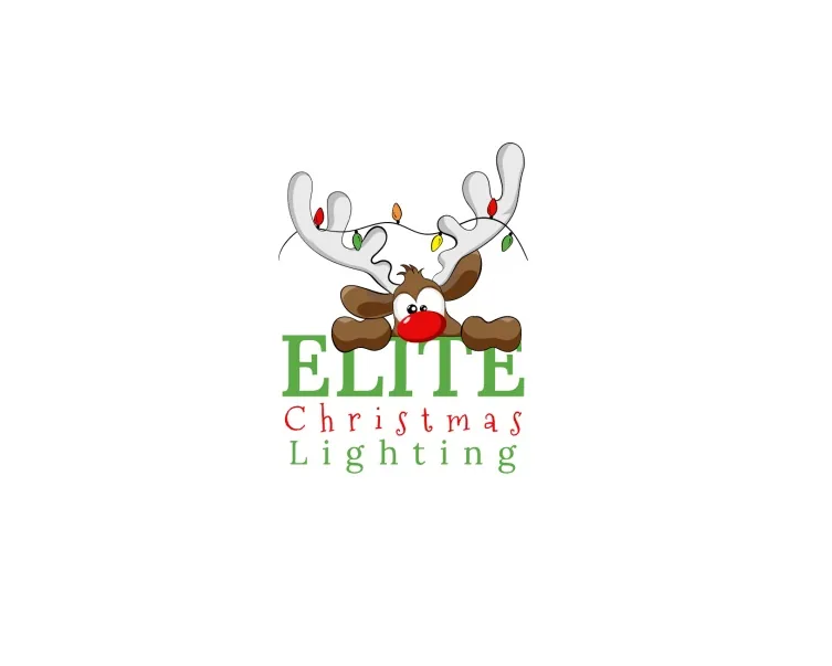 Elite Christmas Lighting